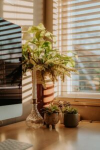 Tips for Creating a Cozy and Productive Home Office Space